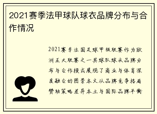 2021赛季法甲球队球衣品牌分布与合作情况