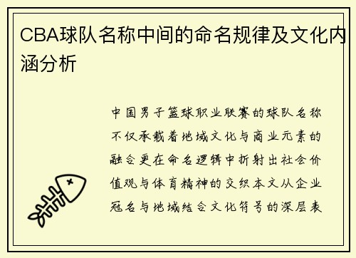 CBA球队名称中间的命名规律及文化内涵分析